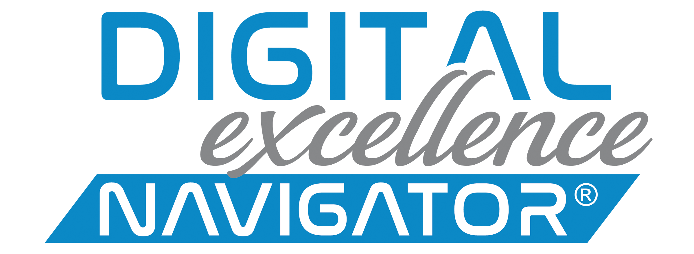 Digital Excellence Navigator